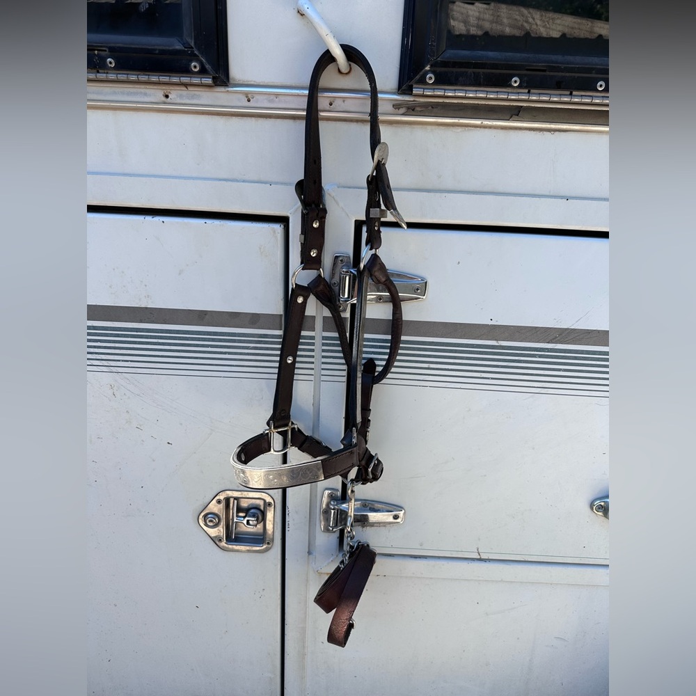 Horse sized silver showmanship halter